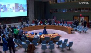 Faute d'alliés, la Russie renonce à un vote sur l'Ukraine au Conseil de sécurité de l'ONU