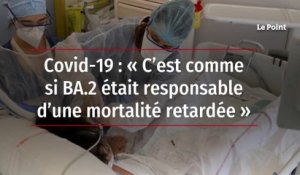 Covid-19 : « C’est comme si BA.2 était responsable d’une mortalité retardée »