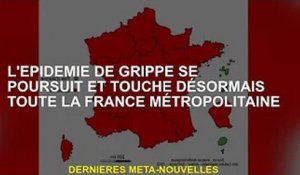 L'épidémie de grippe se poursuit et touche désormais toutes les métropoles françaises