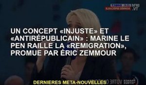 Un concept 'injuste' et 'anti-républicain' : Marine Le Pen se moque de 'l'immigration' d'Eric Zemour