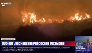 Avec une sécheresse précoce, les incendies déjà de retour dans les Alpes-Maritimes