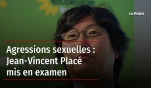 Agressions sexuelles : Jean-Vincent Placé mis en examen