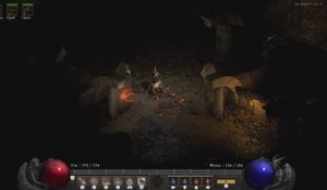 Diablo II Resurrected gameplay