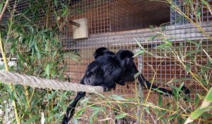 Actus : Le parc zoologique de Fort-Mardyck devient Bio-Topia - 05 Avril 2022