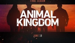 Animal Kingdom - Teaser Saison 6