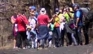 Volcan de La Palma : excursions sur les flancs du Cumbre Vieja