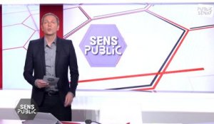 Marine Le Pen peut-elle gagner ? / Macron-Le Pen : quelle Europe ? - Sens public (13/04/2022)