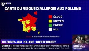 Plus de la moitié de la France classée rouge sur la carte du risque d'allergie aux pollens