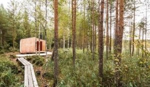 Ils construisent une tiny house en pleine forêt pour moins de 15 000 euros