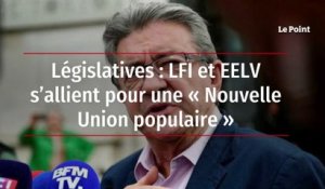 Législatives : LFI et EELV s’allient pour une « Nouvelle Union populaire »