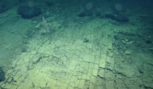 Océan Pacifique : une « route de briques jaunes » découverte à 3000 kilomètres de profondeur par des chercheurs