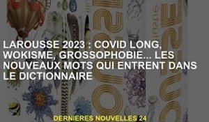 Larousse 2023 : Long Covid, wokisme, grossophobie... de nouveaux mots entrent dans le dictionnaire