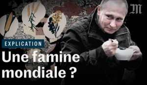 Ukraine-Russie : la guerre peut-elle provoquer une famine mondiale ?