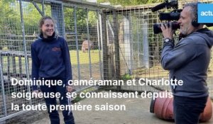 VIDEO. Zoo de La Flèche : Dans les pas de l'équipe de tournage d'Une Saison au zoo 