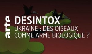 Ukraine : Des oiseaux comme arme biologique ? | Désintox | ARTE