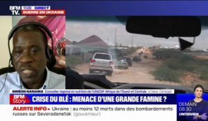 Siméon Nanama (Unicef) a "des craintes sérieuses" que la guerre en Ukraine ait des conséquences sur la malnutrition au Sahel