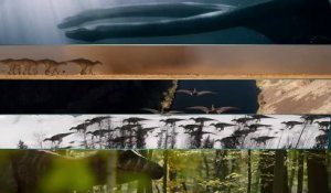Prehistoric Planet (2022) Saison 1 - Trailer #2 (EN)