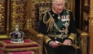 Le prince Charles devra "garder le silence" sur le projet de passion pour réussir en tant que roi