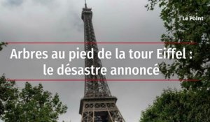 Arbres au pied de la tour Eiffel : le désastre annoncé