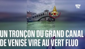 Un tronçon du Grand Canal de Venise vire au vert fluo