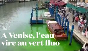 A Venise, l'eau du Grand Canal est devenue vert fluo