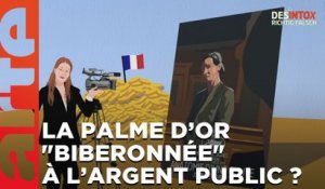 La Palme d’or "biberonnée" à l’argent public ? / Désintox du 01/06/2023