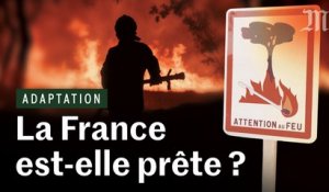 Feux de forêt :  la France est-elle prête ?