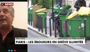 Régis Viecili sur la grève des éboueurs : «La maire de Paris aurait pu répondre plus rapidement»