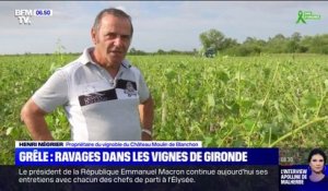 En Gironde, les grêlons de la taille de balles de golf ont ravagé les vignes