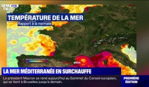 La température de la Méditerranée 3 à 4°C au-dessus des normales