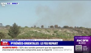 Pyrénées-Orientales: plus de 1100 hectares de végétation ont brûlé