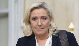 La jeune élue EELV, Pauline Rapilly-Ferniot, est venue perturber l'arrivée des députés RN à l'Assemblée nationale