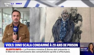 "Violeur de la Sambre": Dino Scala condamné à 20 ans de prison, la peine maximale