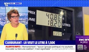 Carburant: Annie Genevard, présidente par intérim des LR, propose d'abaisser le prix du litre à 1,50 euros