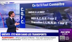 Trafic des TER fortement perturbé, un quart des TGV supprimés: ce qu'il faut savoir sur la grève à la SNCF