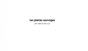 Les pierres sauvages