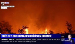 Gironde: près de 1000 hectares partis en fumée