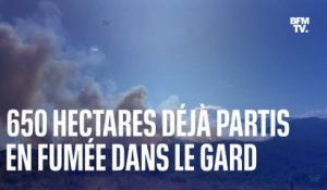Les images du méga feu dans le Gard qui a déjà ravagé 650 hectares de végétation