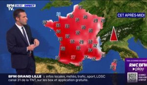 36°C à Bordeaux, 37°C à Toulouse... La vague de chaleur arrive sur le Sud-Ouest