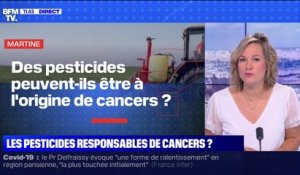 Les pesticides peuvent-ils être à l'origine de cancers ? BFMTV répond à vos questions