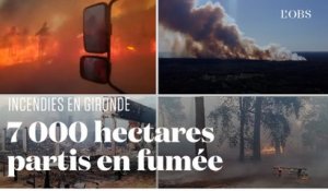 En Gironde, plus de 7 000 hectares ont été détruits par les flammes