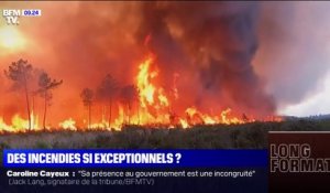 Déjà plus de 27.000 hectares brûlés à la mi-juillet cette année, presque autant que sur toute l'année 2021