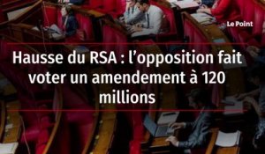 Hausse du RSA : l’opposition fait voter un amendement à 120 millions