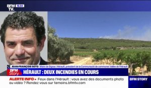 Incendies dans l'Hérault: le maire de Gignac suspecte une origine criminelle