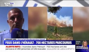 Incendies dans l'Hérault: déjà plus de 600 hectares partis en fumée