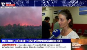 Incendies dans l'Hérault: "Il y avait trop de fumée, des cendres, c'était vraiment irrespirable", raconte une habitante d'Aumelas évacuée