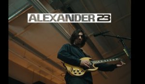 Alexander 23 - If We Were A Party