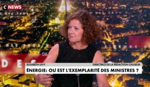 Élisabeth Lévy : «Je veux que les gouvernants fassent le job»