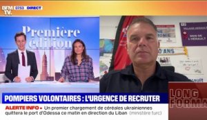 "Il y a près de 80% de pompiers volontaires": le lieutenant-colonel Jérôme Bonnafoux explique comment s'engager pour devenir sapeur-pompier volontaire
