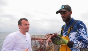 Terroir - Guadeloupe : pêche dans les Caraïbes